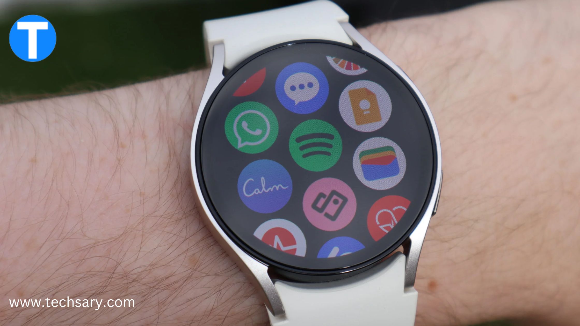 how to connect WhatsApp to smartwatch